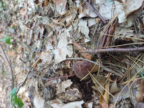 Apartament na Bursztynowej