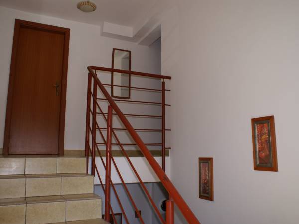 Na terenie naszego Domu