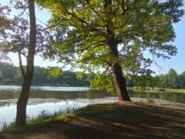 Domki , apartamenty Przy Maków Polnych , karkonosze ...