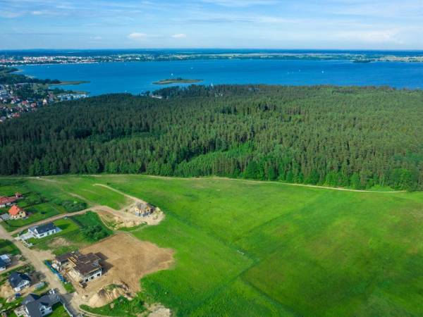 Kompleks leśny w pobliżu.