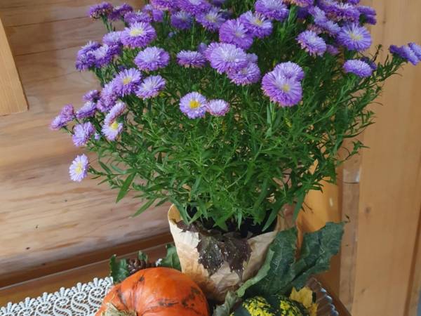 Ośrodek Wypoczynkowy "SZAŁAS"