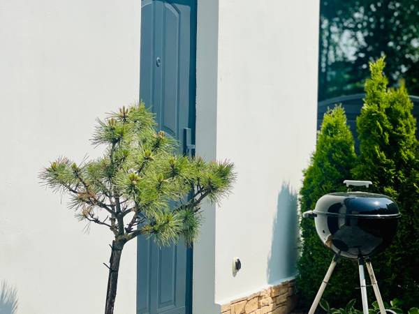 Pokoje i Domki Pod Wierzbą