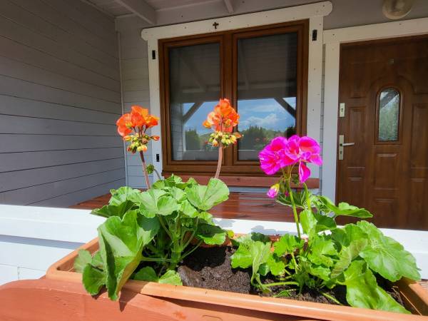 Domki letniskowe Chabrowa 1