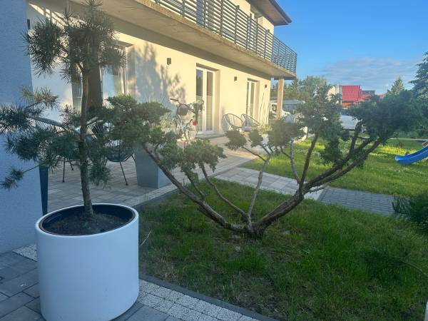 Domki i Urocze Apartamenty Przy Molo 