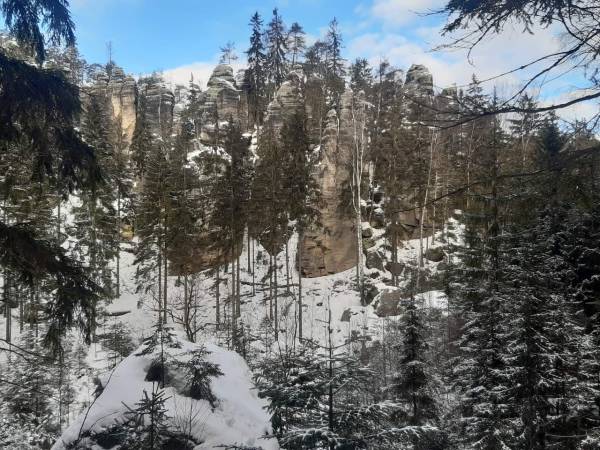 Penzion Čtyřlístek