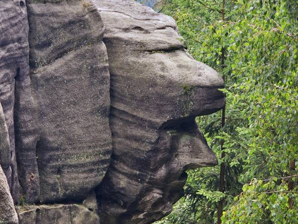 Penzion Čtyřlístek