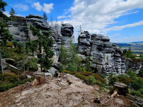 Penzion Čtyřlístek