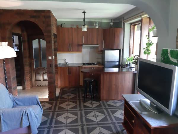 Aneks kuchenny w apartamencie