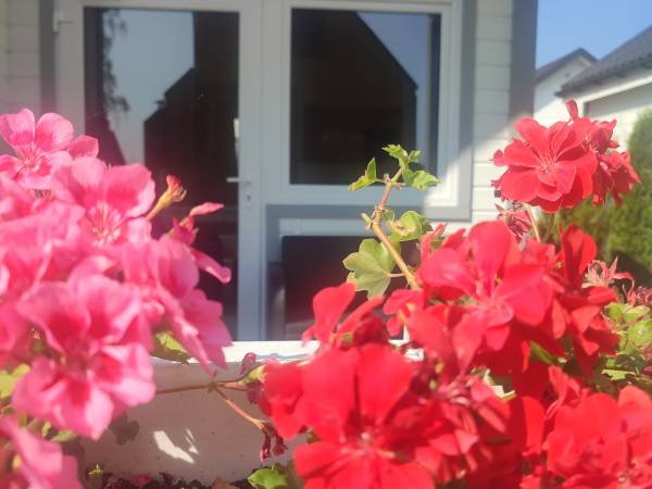 Domki u Pana Zielonki