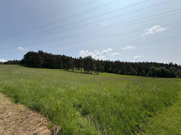 widok z pokoju nr 2 i 3 