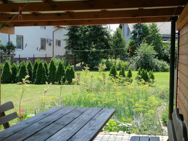 Widok na parking za tujami są miejsca postojowe. 