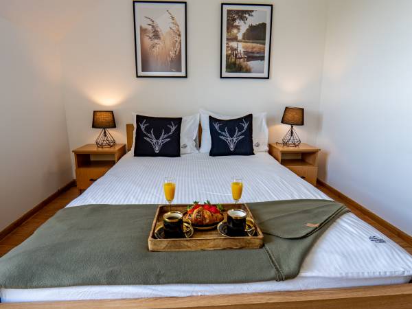 pokój 2-osobowy z łazienką i widokiem na Jezioro Solińskie