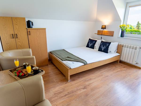 pokój 2-osobowy z łazienką i widokiem na Jezioro Solińskie 