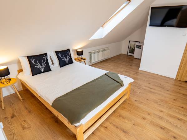 pokój 2-osobowy na poddaszu z łązienką i klimatyzatorem