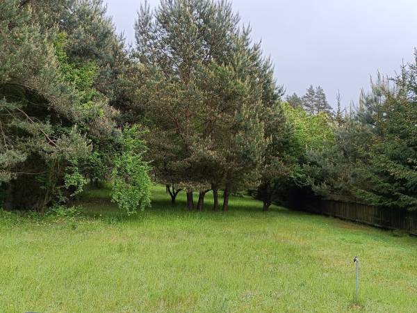 Mazury. Domek pod lasem