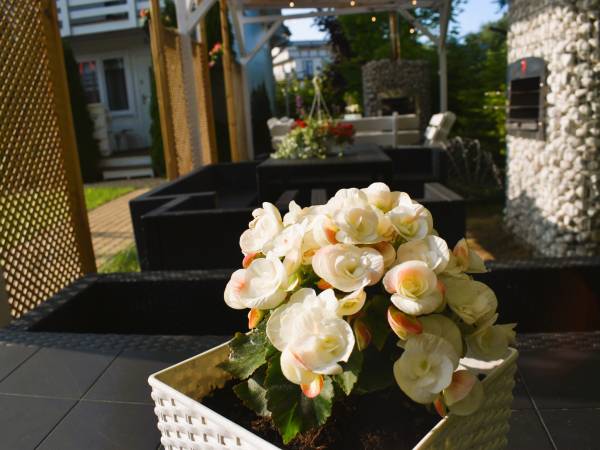 Belatrix nad Bałtykiem