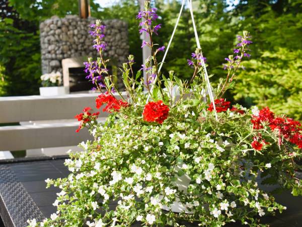 Belatrix nad Bałtykiem