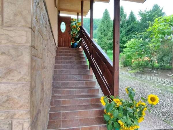 Domki pod Wiązem i Noclegi Pod Lasem