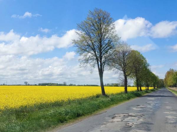 Ośrodek wczasowy Kabylia