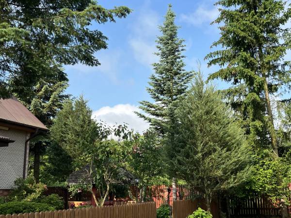 Gospodarstwo Pani Zofii