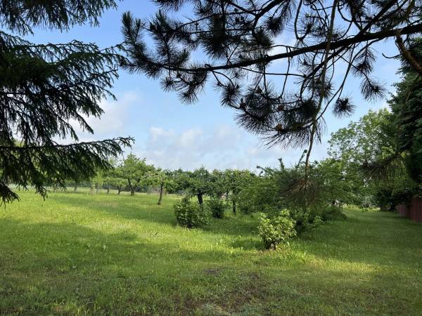 Gospodarstwo Pani Zofii