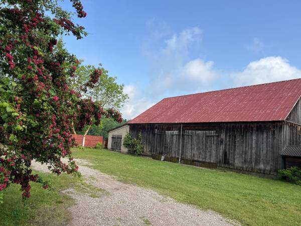 Gospodarstwo Pani Zofii