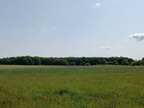 Gospodarstwo Pani Zofii