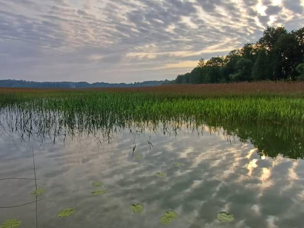 Gospodarstwo Pani Zofii