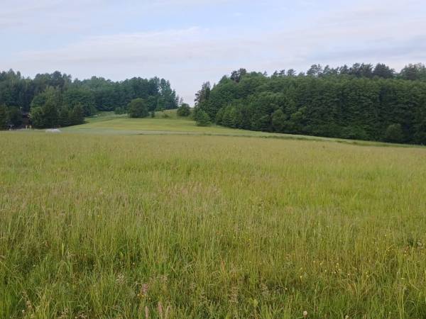 Gospodarstwo Pani Zofii