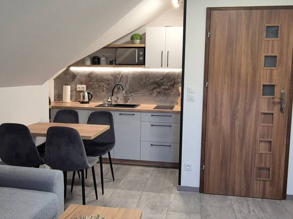 Pokój studio-salon z aneksem