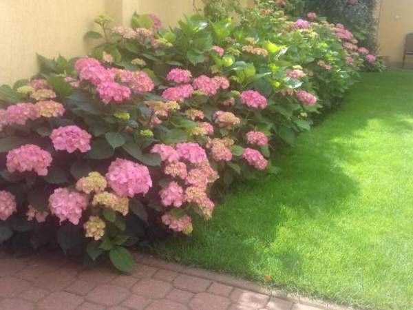 Pokoje Gościnne Anna