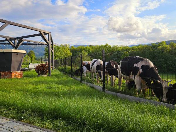 Zacisze w Karkonoszach