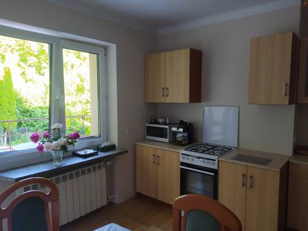 Kuchnia widokiem na taras