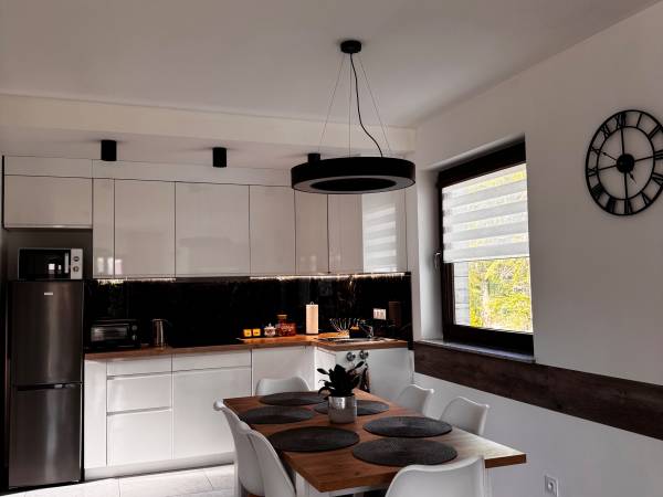 aneks kuchenny połączony z salonem