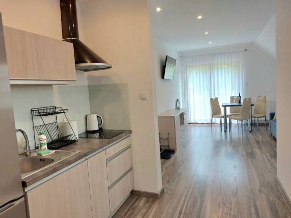 aneks kuchenny apartament 2 pokojowy