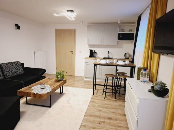 Apartament z aneksem kuchennym 