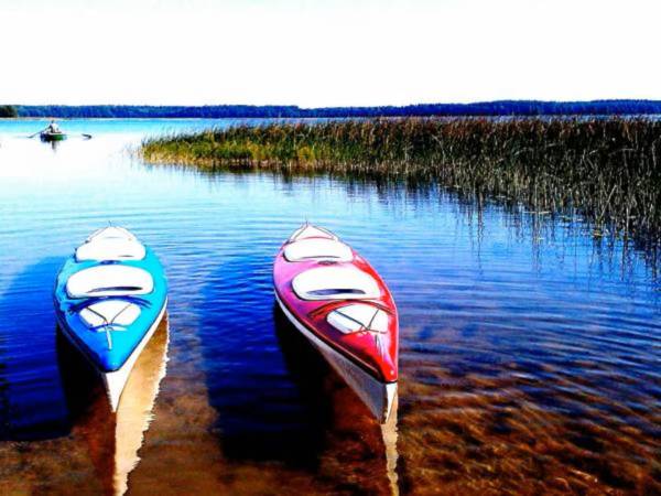 Lila Róż domek 150 m od jeziora