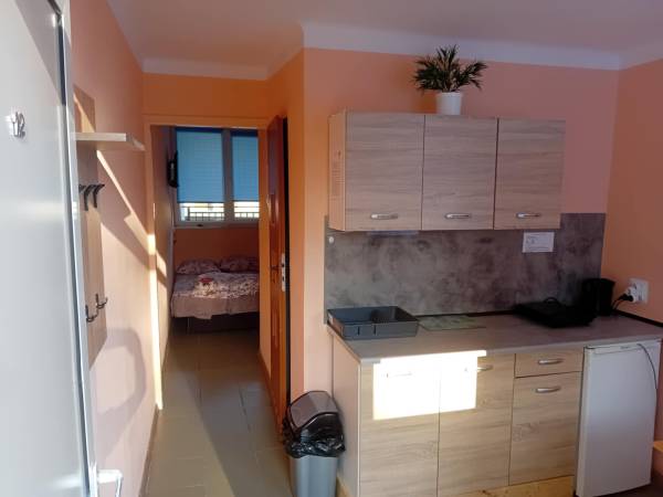 Domki i Pokoje Pod Palmami