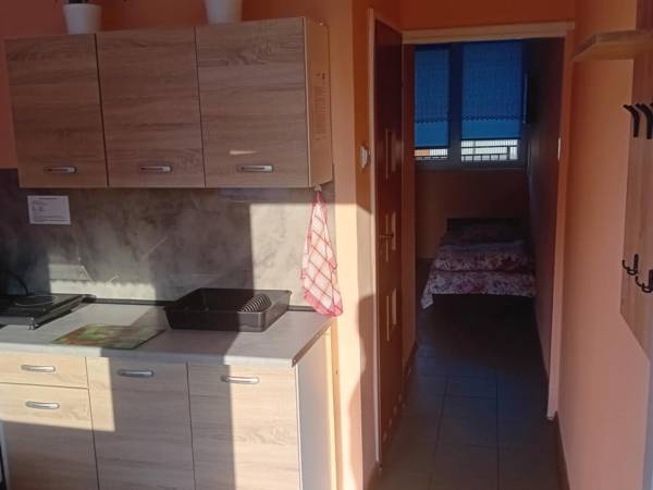 Domki i Pokoje Pod Palmami