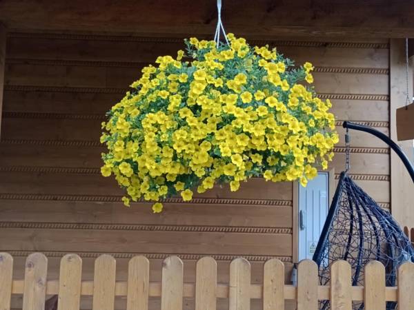 Przy Łemkowskiej Drodze