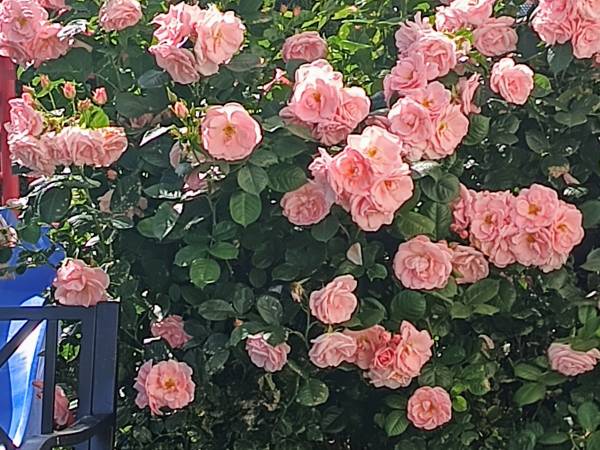 Willa Małgośka 2 noclegi