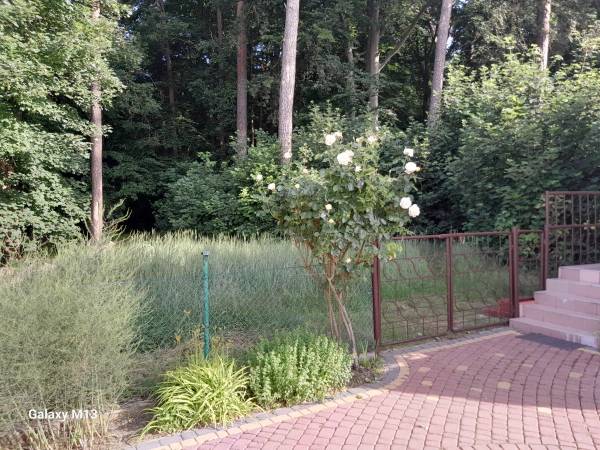 Dom Gościnny przy parku