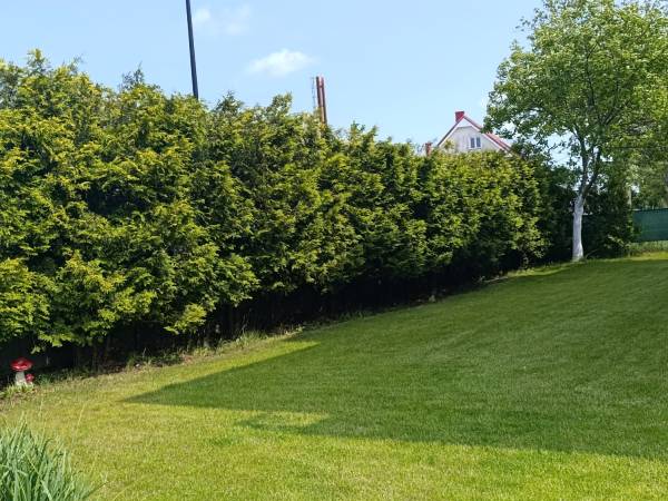 Willa Małgośka 2 noclegi