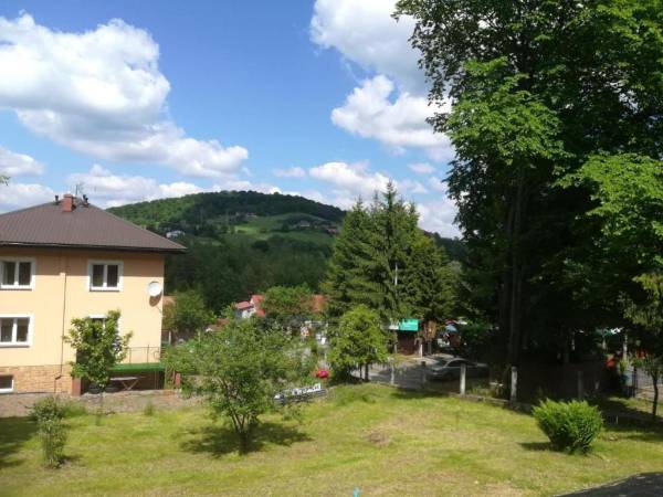 Domki pod Wiązem i Noclegi Pod Lasem