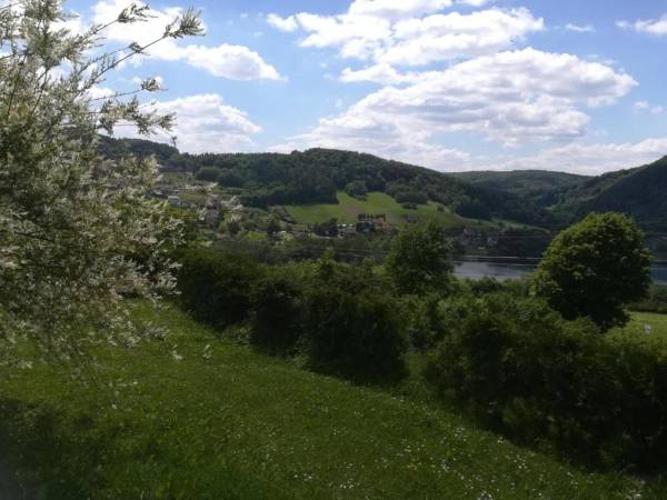 Domki pod Wiązem i Noclegi Pod Lasem