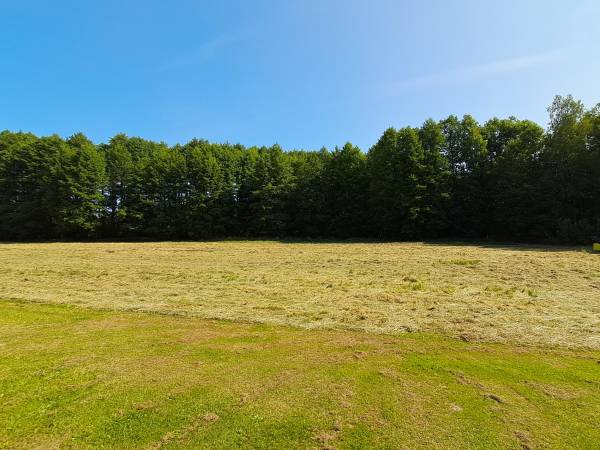 Lubuska Leśna Ostoja