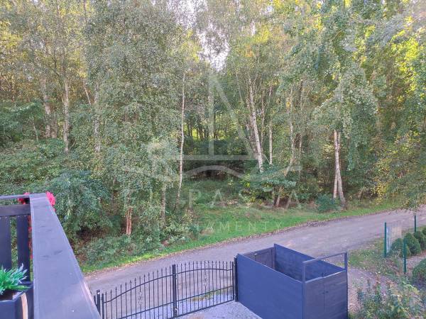 Widok na las z tarasu