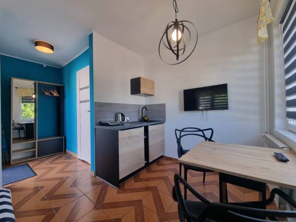 Pokój 2 os. z łazienką I aneksem kuchennym 