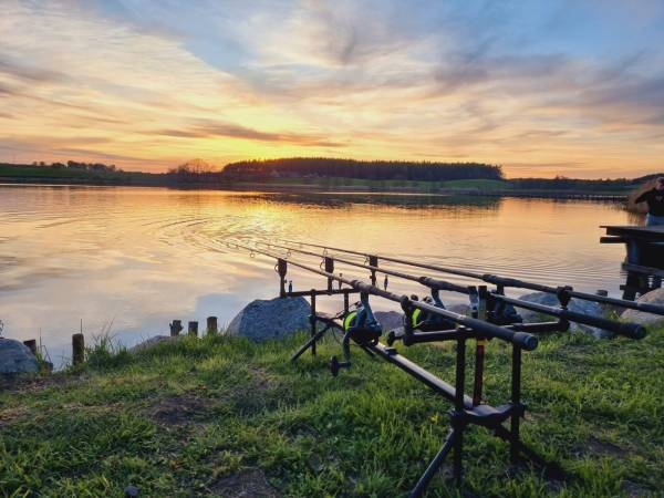Agroturystyka W Dolinie Nad Stawami