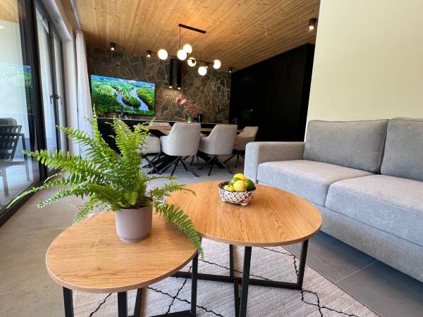 Apartament Szczyrk Dobre Miejsce Kasztanowa 44A/1 salon 2